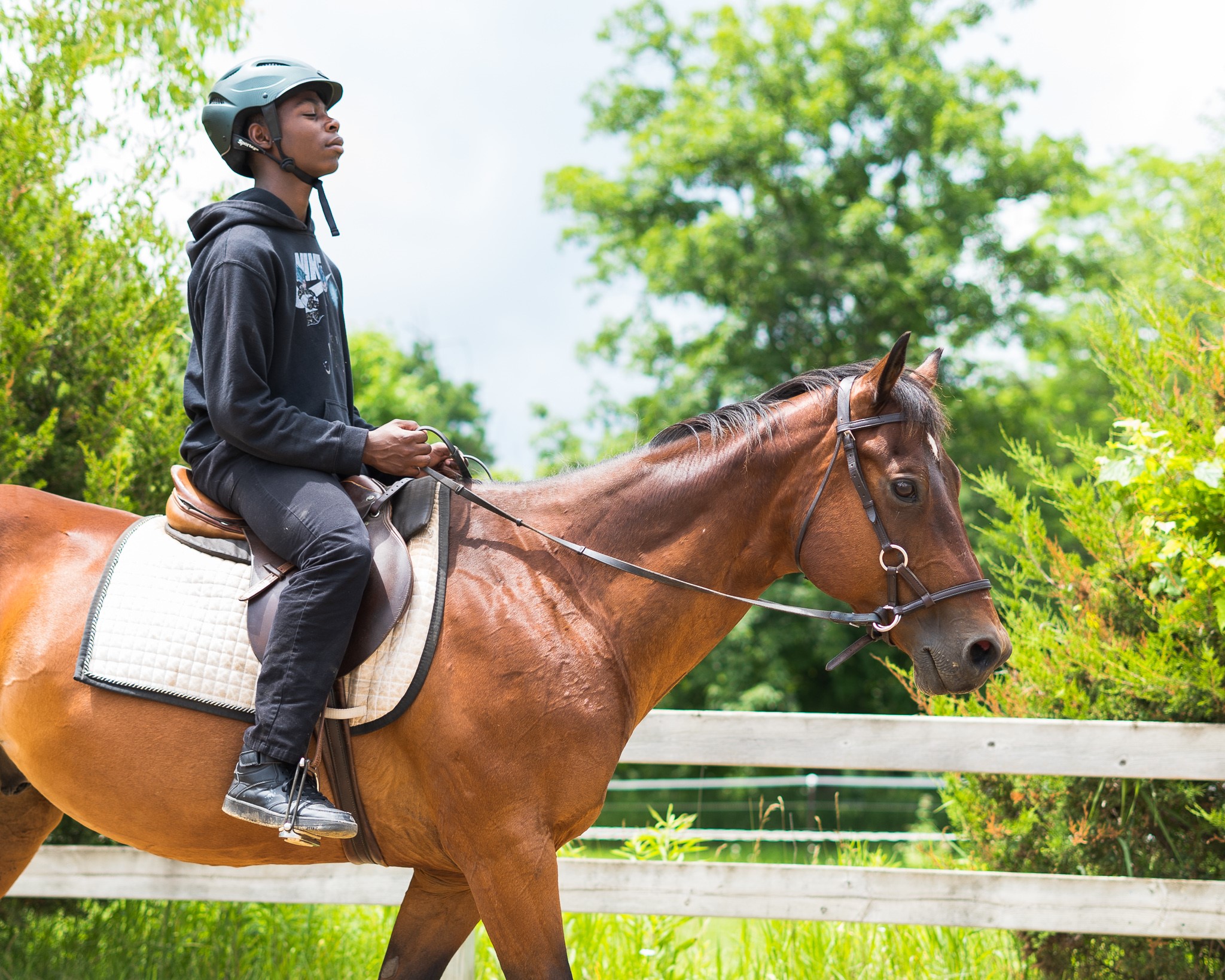 Detroit Horse Power